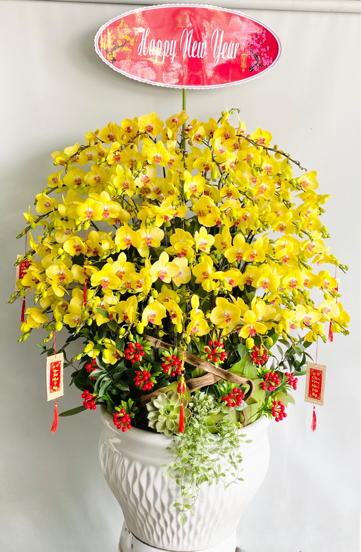 chậu hoa lan hồ điệp vàng