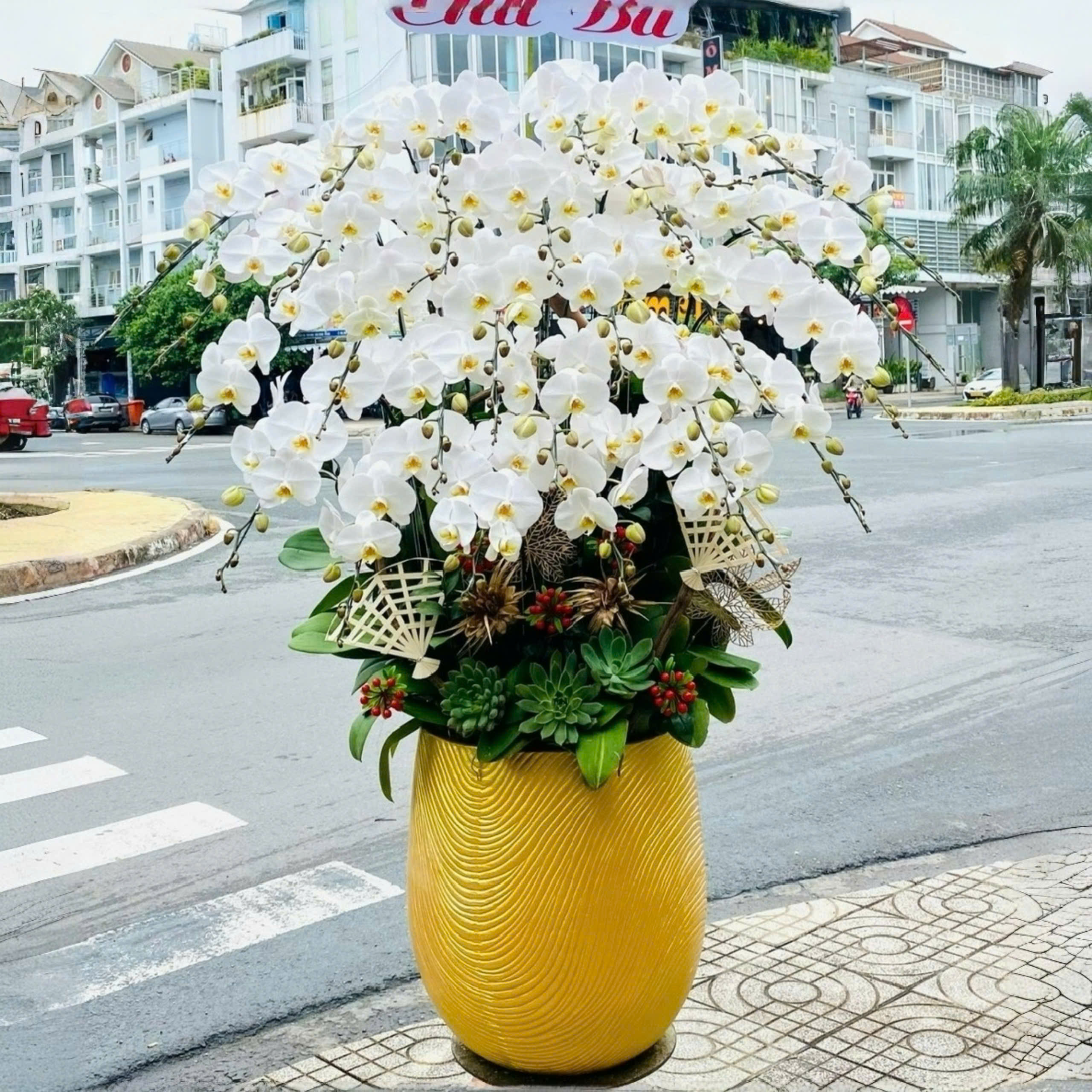 Lan hồ điệp màu trắng 29 cành - SA114