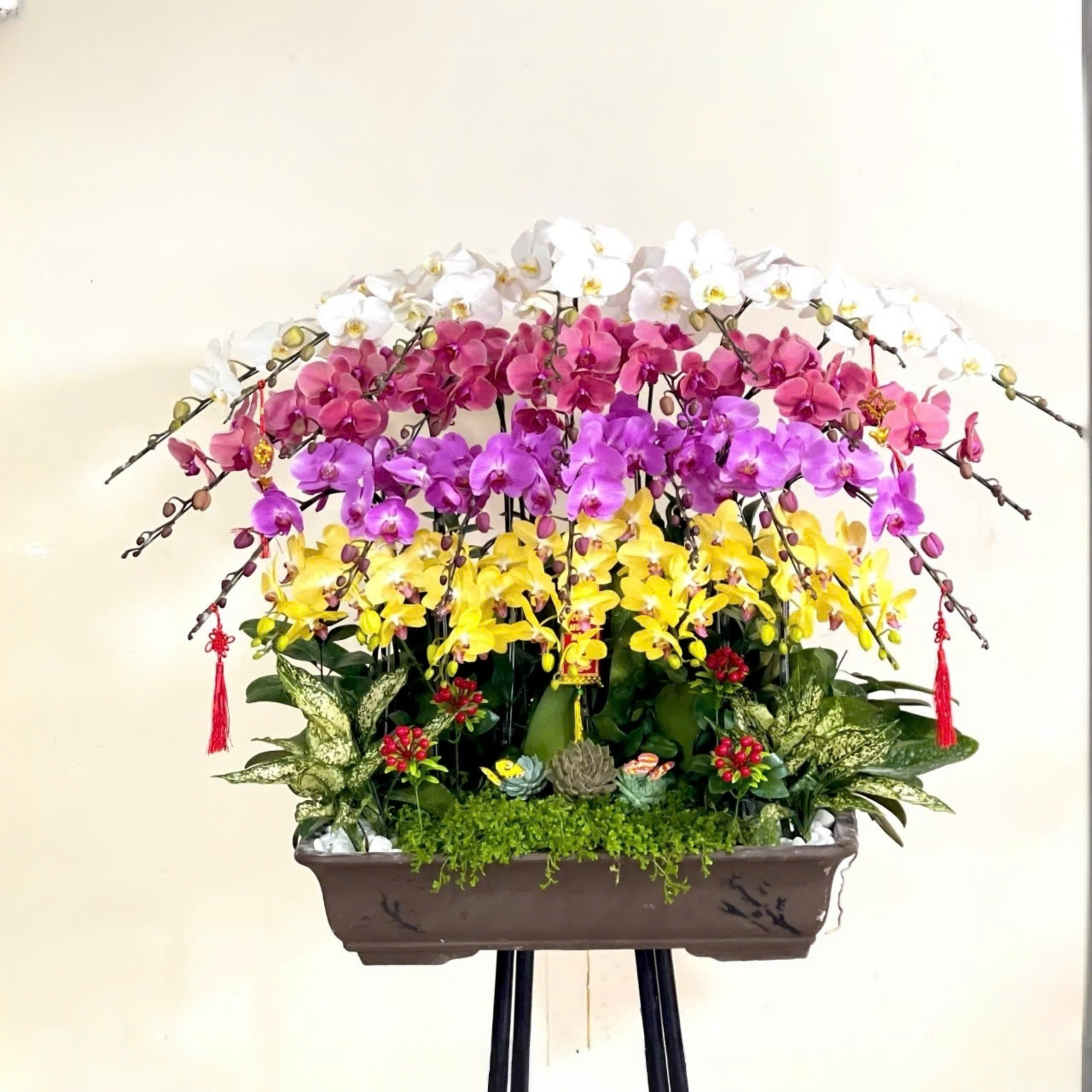 Lan hồ điệp bonsai kết hợp 3 màu 21 cành - SA120